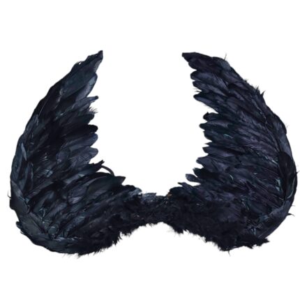 Alas de ángel NEGRO