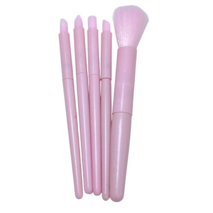 Kit de brochas viajero x5