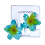 Cartón de ganchos flor hawai x2