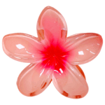 Gancho Hawaii - Imagen 6
