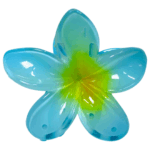 Gancho Hawaii - Imagen 5