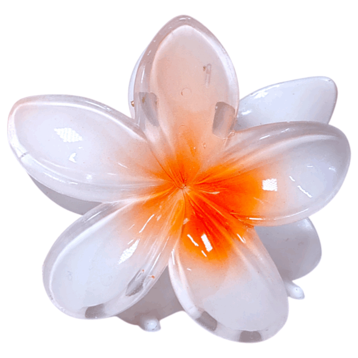 Gancho Hawaii - Imagen 4