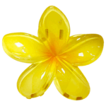 Gancho Hawaii - Imagen 3
