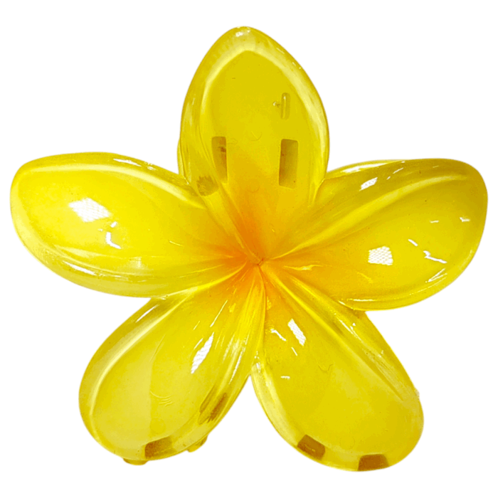 Gancho Hawaii - Imagen 3