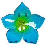 Gancho Hawaii ref 3 - Imagen 6