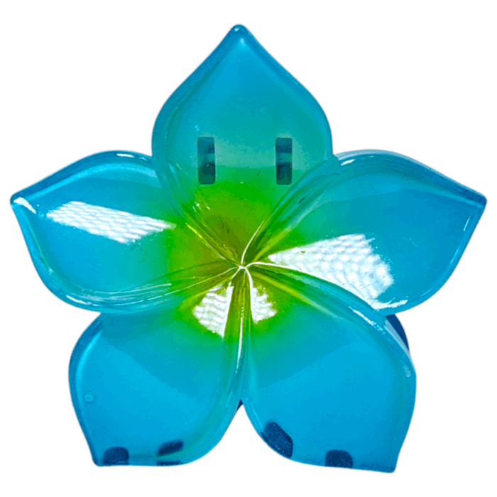 Gancho Hawaii ref 3 - Imagen 6