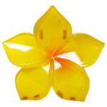 Gancho Hawaii ref 3 - Imagen 5