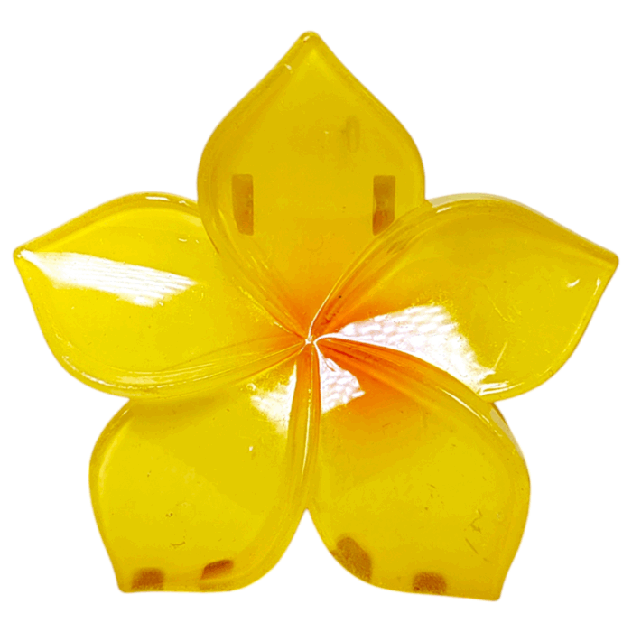 Gancho Hawaii ref 3 - Imagen 5