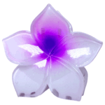 Gancho Hawaii ref 3 - Imagen 4