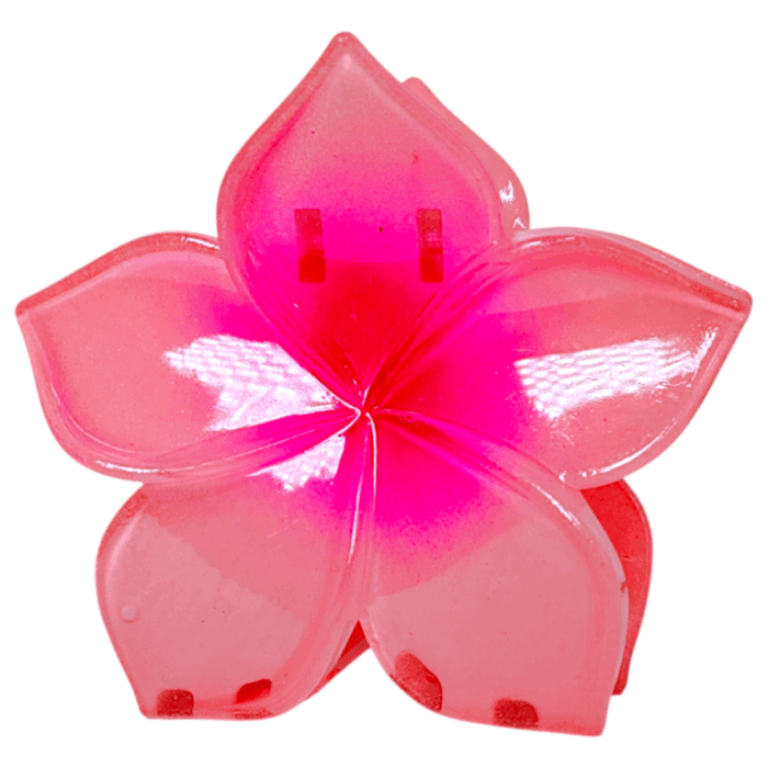 Gancho Hawaii ref 3 - Imagen 2