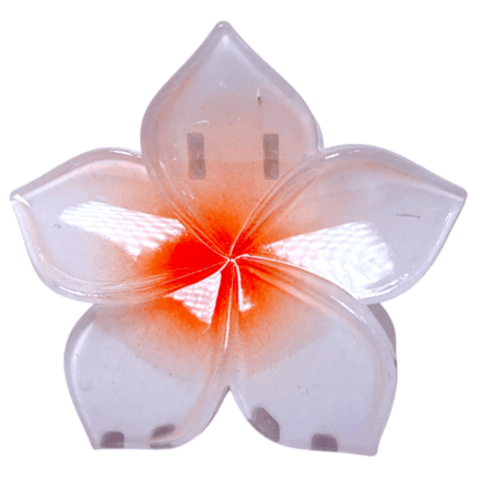 Gancho Hawaii ref 3