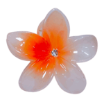 Gancho hawaii gema - Imagen 6