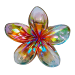 Gancho hawaii transparente - Imagen 3