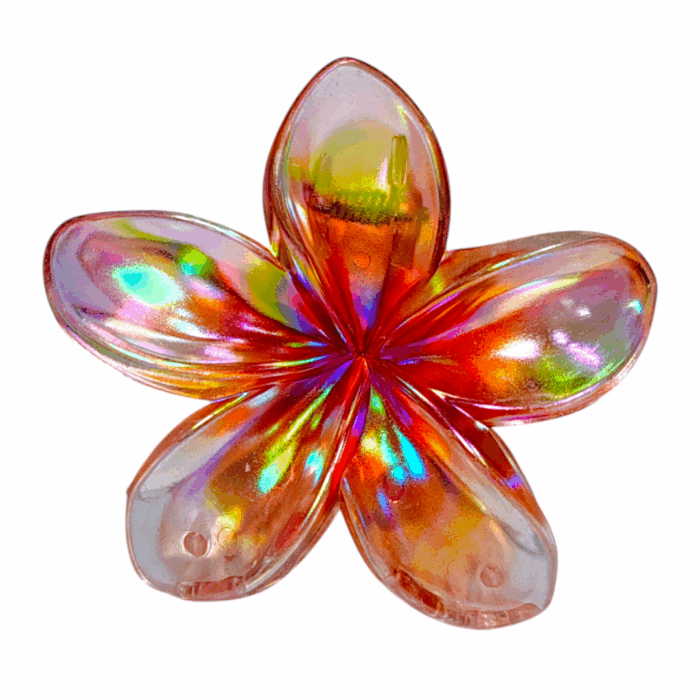 Gancho hawaii transparente - Imagen 2