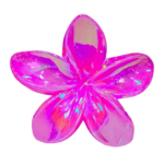 Gancho hawaii transparente - Imagen 6