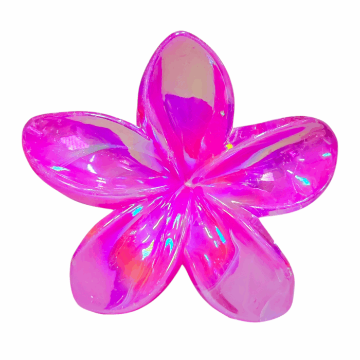 Gancho hawaii transparente - Imagen 6