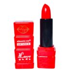 Labial en barra matte LONG LASTING ROMANTIC