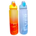 Termo de litro con pitillo, sticker y pines - Imagen 3